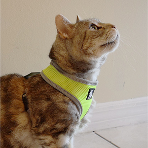 Truelove Harness for Cats and Small Dogs (Pink)