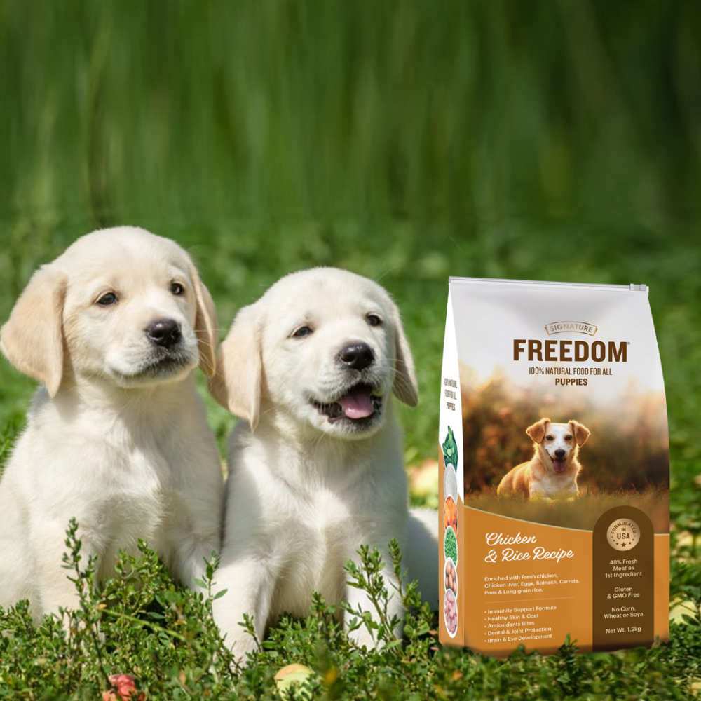 Signature Freedom Chicken and Rice Recipe Puppy Dog Dry Food