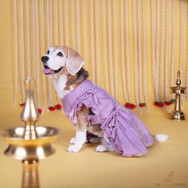 The Papaw Cartel Embroidered Indian Angarkha for Dogs & Cats (Lilac)