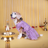 The Papaw Cartel Embroidered Indian Angarkha for Dogs & Cats (Lilac) Both-Clothing & Accessories The Papaw Cartel Dropship