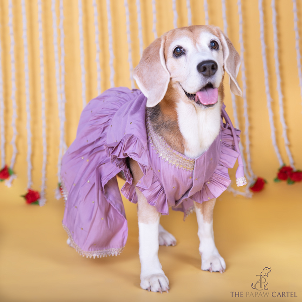 The Papaw Cartel Embroidered Indian Angarkha for Dogs & Cats (Lilac)