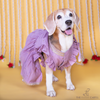 The Papaw Cartel Embroidered Indian Angarkha for Dogs & Cats (Lilac) Both-Clothing & Accessories The Papaw Cartel Dropship