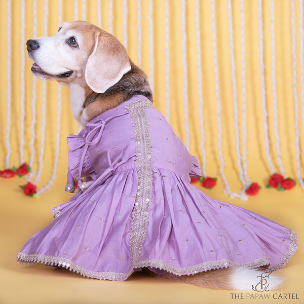 The Papaw Cartel Embroidered Indian Angarkha for Dogs & Cats (Lilac)