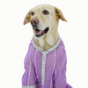 Dogobow Mirror Kurta for Dogs (Lilac) Dogs-Clothing & Accessories Dogobow Dropship XS