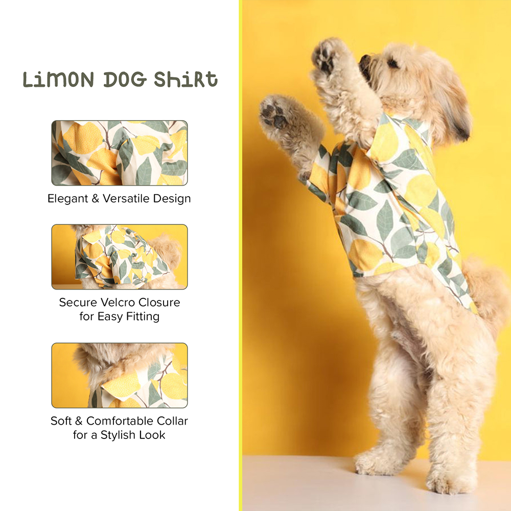 15buttons Limon Shirt for Dogs Dogs-Clothing & Accessories 15buttons Dropship