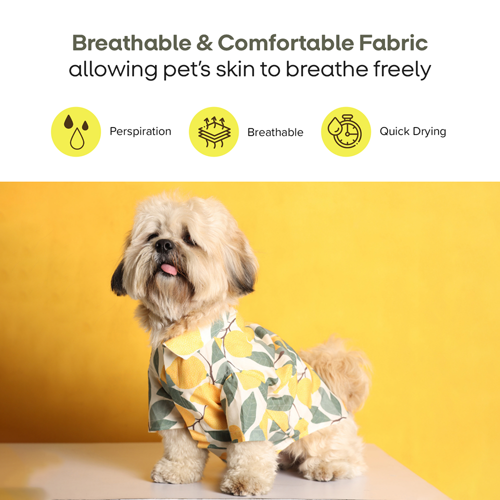 15buttons Limon Shirt for Dogs Dogs-Clothing & Accessories 15buttons Dropship