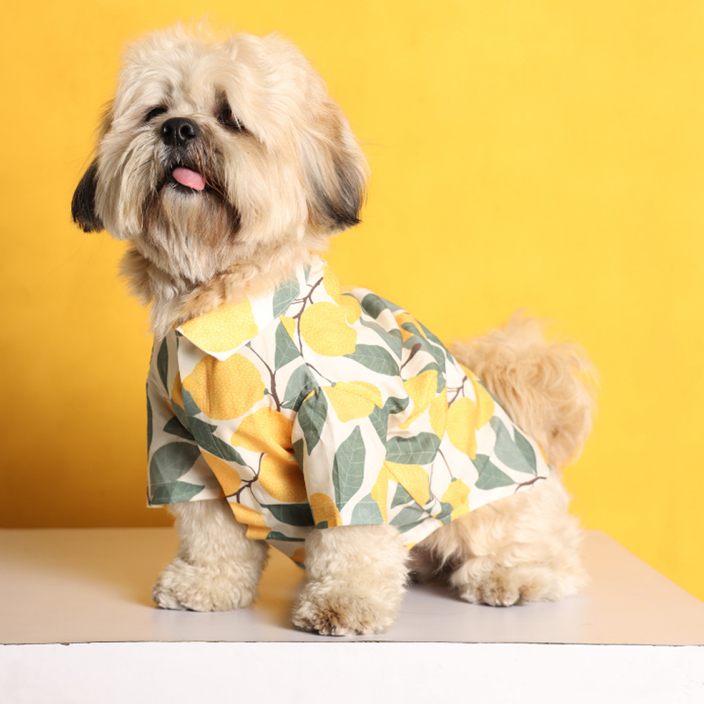 15buttons Limon Shirt for Dogs Dogs-Clothing & Accessories 15buttons Dropship S