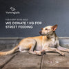 Yummytails Chicken and Fish Premium Adult Medium and Large Dog Dry Food Dogs- Dry Food Yummytails