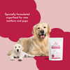 Yummytails Super Premium Mother and Puppy Dry Food | Chicken & Fish Flavor | Corn and Soya Free Formula Dogs- Dry Food Yummytails