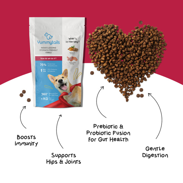 Yummytails Chicken and Fish Premium Adult Medium and Large Dog Dry Food