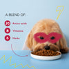Yummytails Chicken and Fish Premium Adult Medium and Large Dog Dry Food Dogs- Dry Food Yummytails