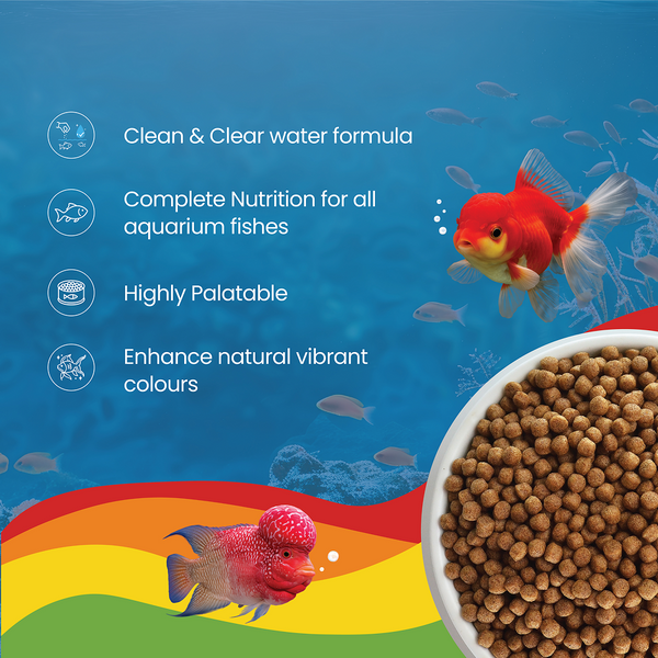Growel Rainbow Small 3.5mm Floating Pellet for Fish