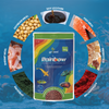 Growel Rainbow Medium 5.5mm Floating Pellet for Fish Fish Growel
