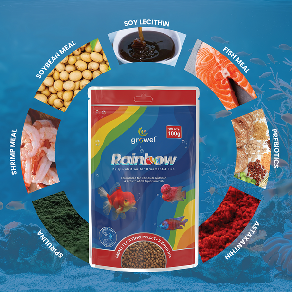 Growel Rainbow Small 3.5mm Floating Pellet for Fish