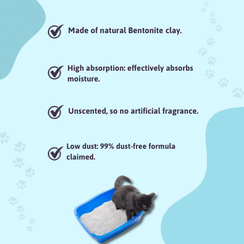 BearHugs Unscented Bentonite Cat Litter Cats-Litter BearHugs