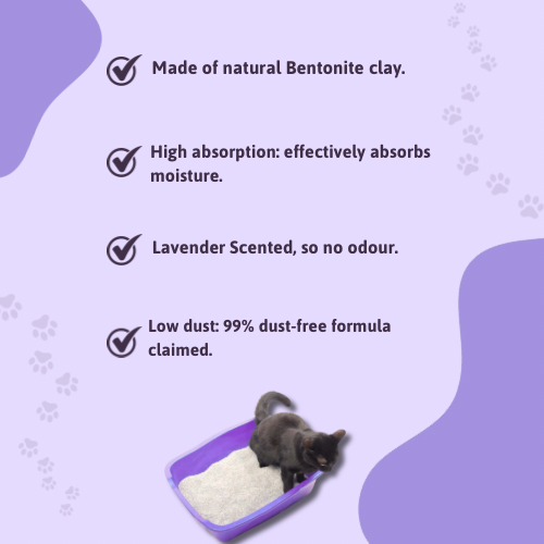 BearHugs Lavender Scented Bentonite Cat Litter Cats-Litter BearHugs
