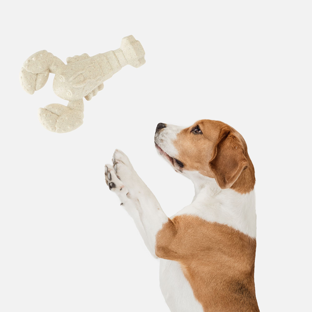Barkbutler x Fofos Durable Lobster Chew Toy for Dogs Dogs-Toys Barkbutler