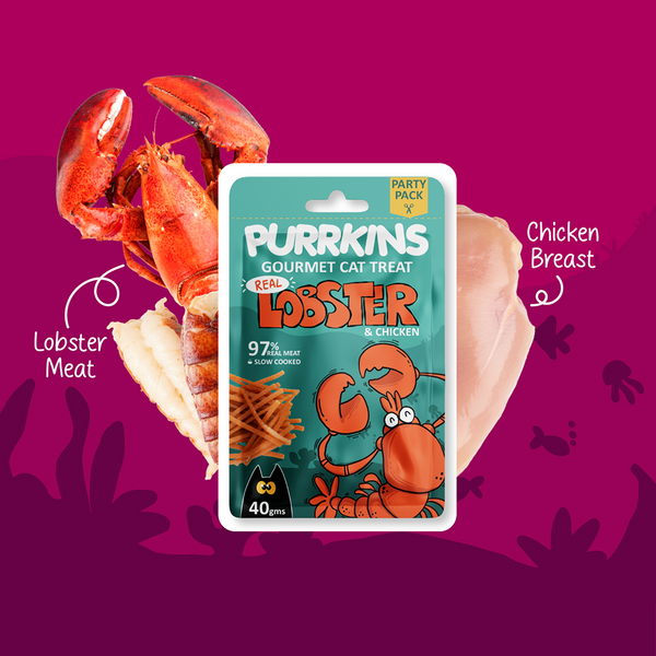 Purrkins Lobster & Chicken Soft Jerky Cat Treats