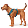 Hunter London Comfort Harness for Dogs (Light Blue) Dogs-Collar, Leashes, harnesses Hunter Dropship XS-S