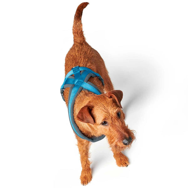 Hunter London Comfort Harness for Dogs (Light Blue)