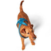 Hunter London Comfort Harness for Dogs (Light Blue) Dogs-Collar, Leashes, harnesses Hunter Dropship