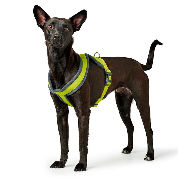 Hunter London Comfort Harness for Dogs (Lime)
