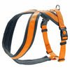 Hunter London Comfort Harness for Dogs (Orange) Dogs-Collar, Leashes, harnesses Hunter Dropship