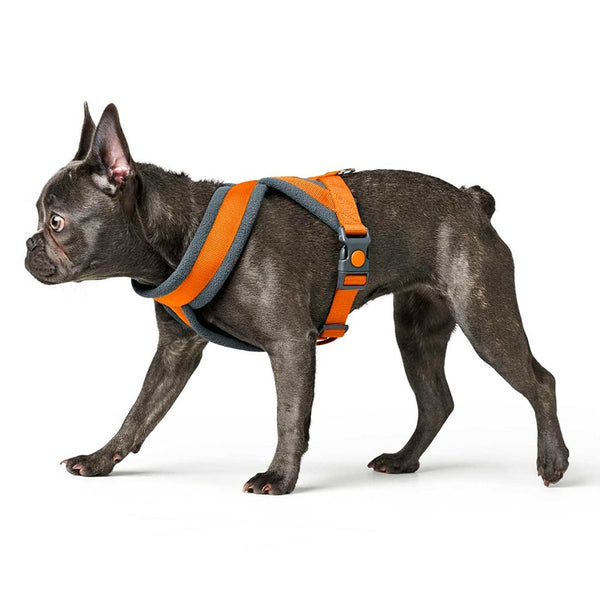 Hunter London Comfort Harness for Dogs (Orange)