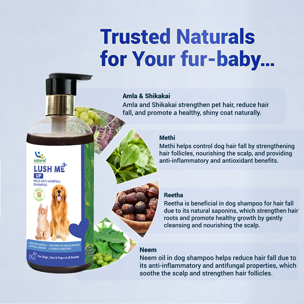 Natural Remedies Lush Me Up Anti Hairfall Shampoo for Dogs and Cats Both-Grooming Supplies Natural Remedies