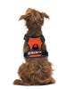 M Pets Water Resistant 3buckle Hiking Harness for Dogs (Orange) Dogs-Collar, Leashes, harnesses M Pets