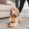 Squeeezys Latex Monster Brother Squeaky Chew Toy for Dogs (Brown)