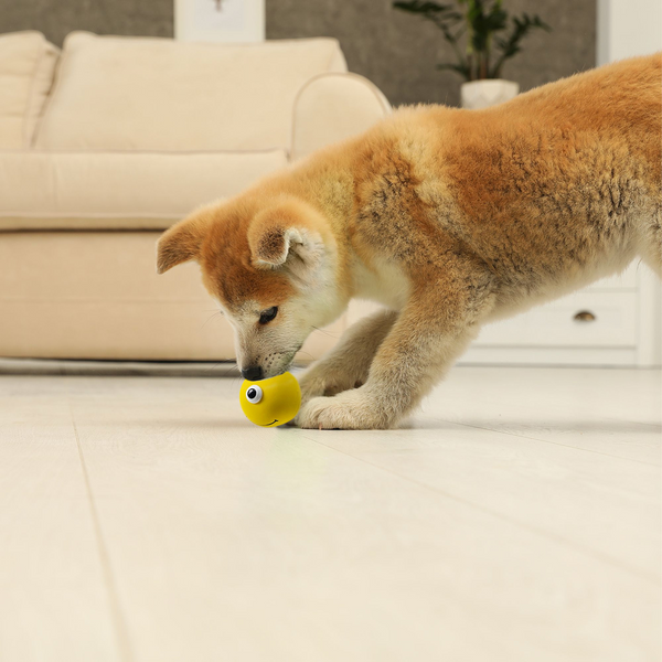 Squeeezys Latex Monster Ball Chew Toy for Dogs (Yellow)