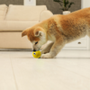 Squeeezys Latex Monster Ball Chew Toy for Dogs (Yellow) Dogs-Toys Squeeezys