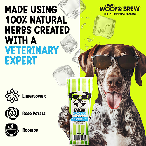 Woof & Brew Ice Paw Pops Dog Treat Dog Treats + Others Woof & Brew