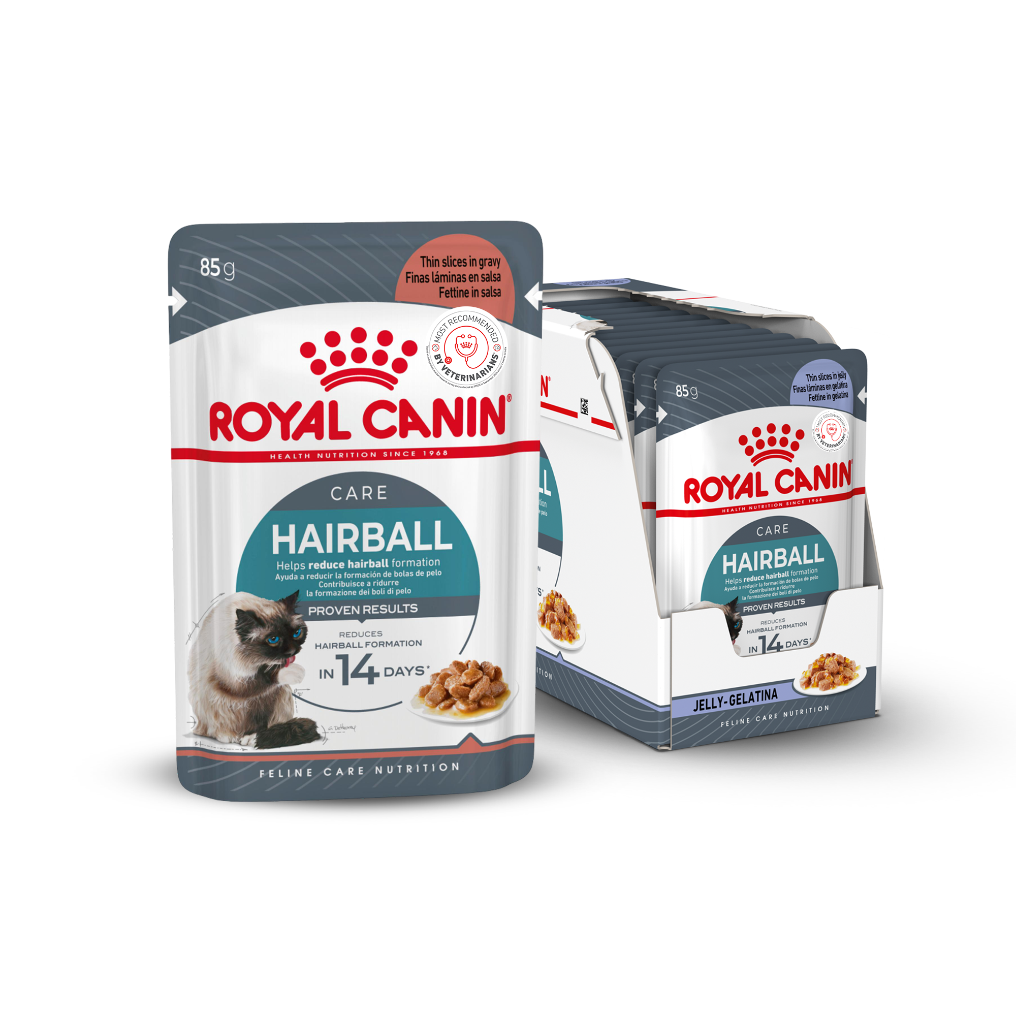 Royal Canin Hairball Care Wet Cat Food (85g Pouch) Cats-Wet Food Royal Canin