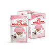 Royal Canin Kitten Loaf Cat Wet Food Cats-Wet Food Royal Canin