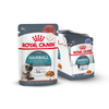 Royal Canin Hairball Care Wet Cat Food (85g Pouch) Cats-Wet Food Royal Canin