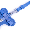 Furry & Co Weatherproof Collar and Leash for Dogs Combo (Everest Blue) - M Dogs-Collar, Leashes, harnesses Furry & Co