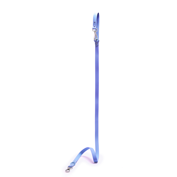 Furry & Co Weatherproof Collar and Leash for Dogs Combo (Everest Blue) - M