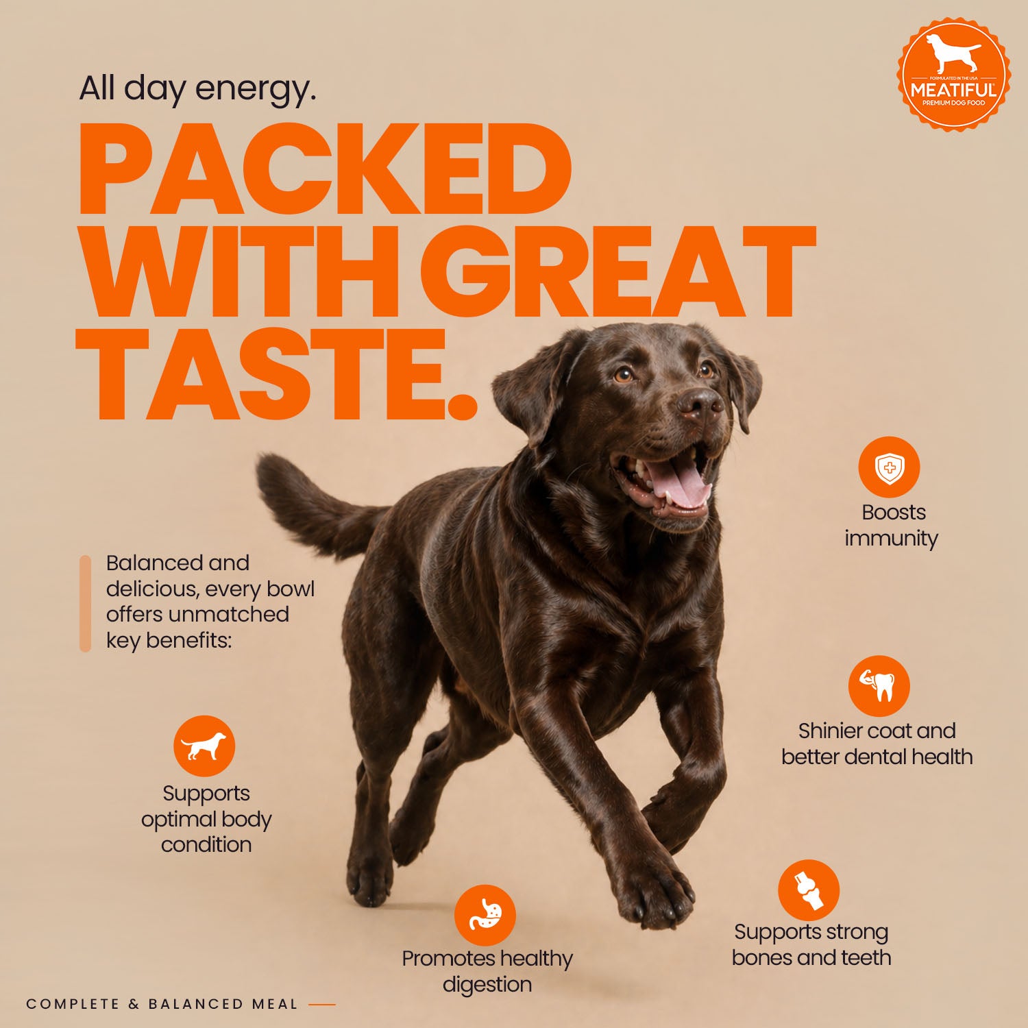 Meatiful Premium Chicken Adult Dog Dry Food Dogs- Dry Food Meatiful