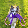 Zippy Paws RopeTugz Monkey Purple Plush Toy for Dogs Dogs-Toys Zippy Paws