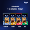 Drools Ocean Fish Mousse Adult Cat Wet Food Cats-Wet Food Drools