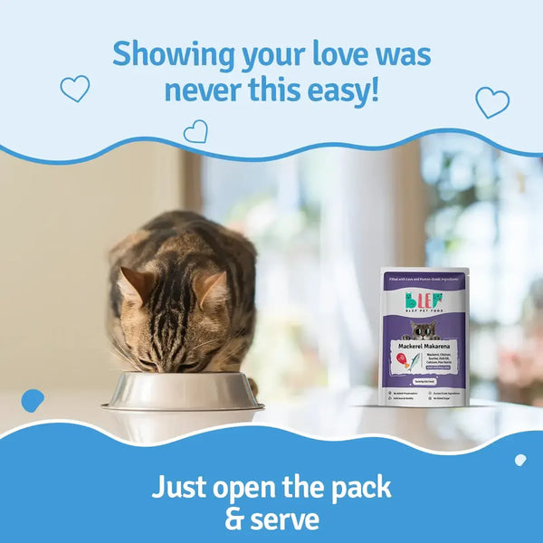 BLEP Mackerel Makarena Cat Wet Food