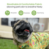 15buttons Madagascar Shirt for Dogs Dogs-Clothing & Accessories 15buttons Dropship