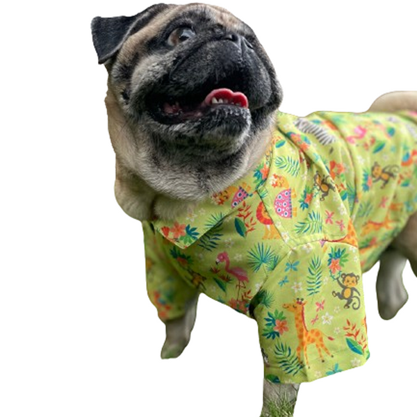 15buttons Madagascar Shirt for Dogs
