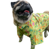 15buttons Madagascar Shirt for Dogs Dogs-Clothing & Accessories 15buttons Dropship