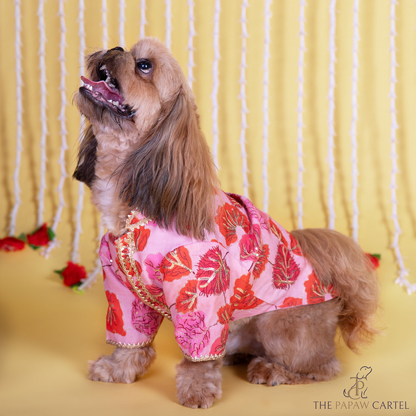 The Papaw Cartel Maple Print Sherwani with Sequins for Dogs & Cats (Pink/Orange)