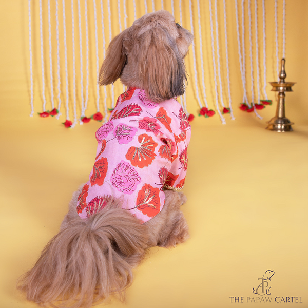 The Papaw Cartel Maple Print Sherwani with Sequins for Dogs & Cats (Pink/Orange)