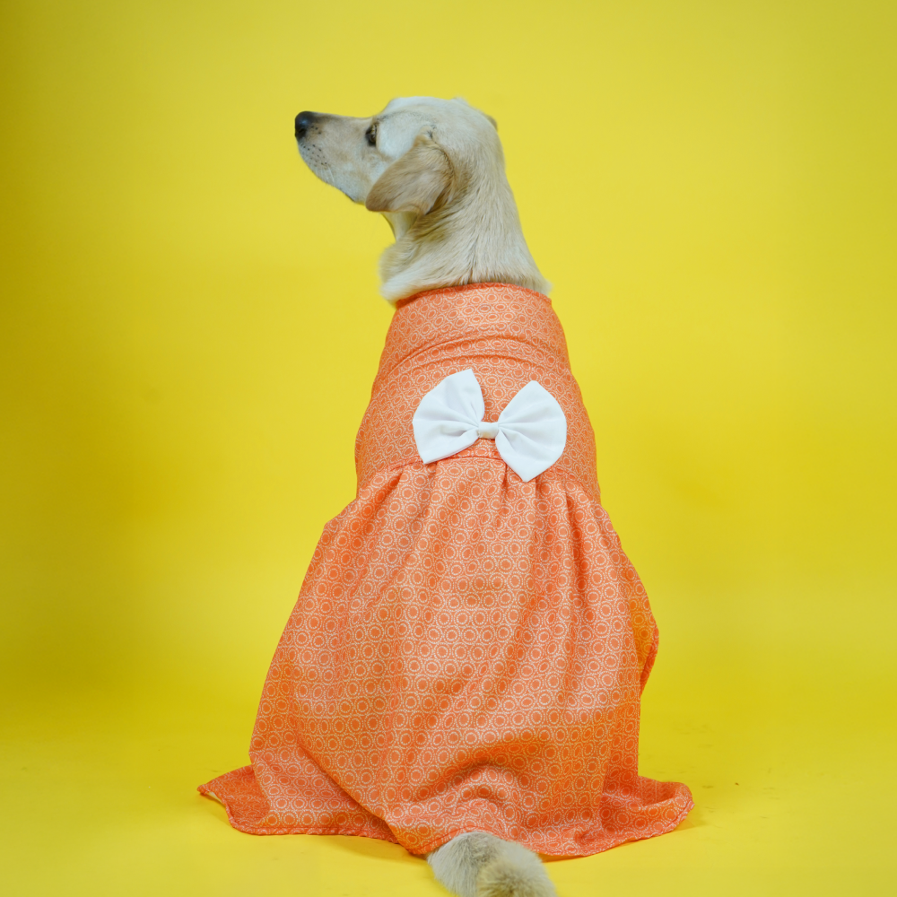 Skatrs Marigold Mandala Printed Dress for Dogs and Cats (Orange) Both-Clothing & Accessories Skatrs XS