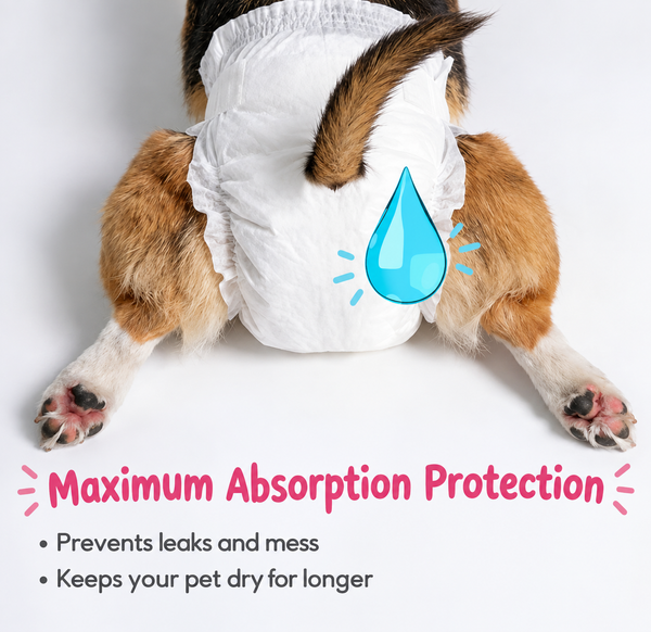 Skatrs Diapers for Female Dogs